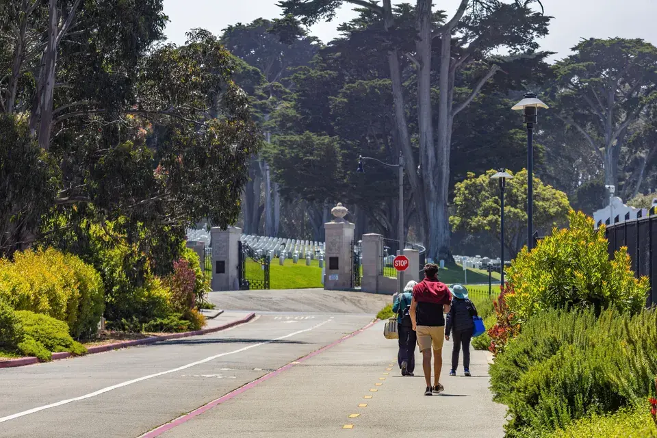 Cupertino's Unique Mold Challenges & Our Local Expertise — Cupertino, CA